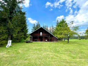 Cabin in Nature